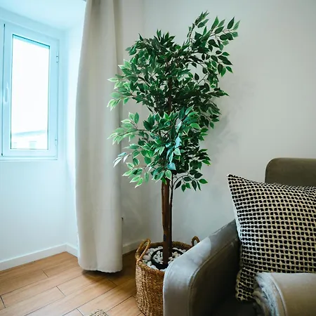 Sea House Apartment